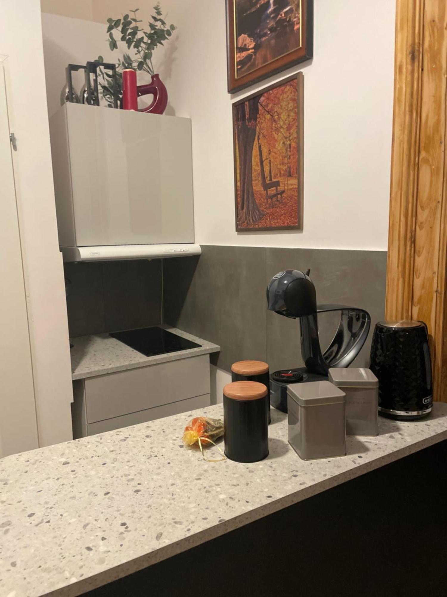 Family Suite Kraków Zewnętrze zdjęcie